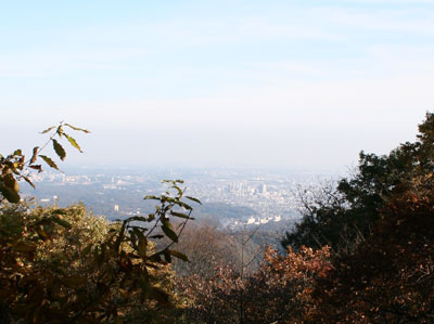 高尾山の紅葉３