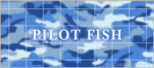 pilot_fish