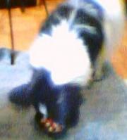 20060130_1639_0001.jpg
