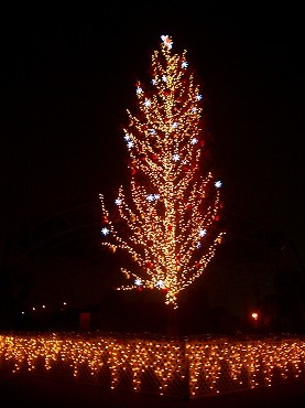 ライトアップツリー