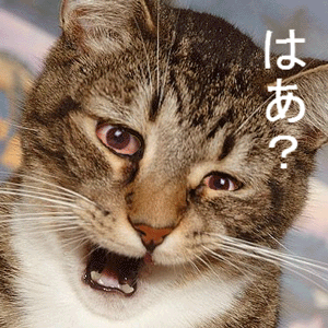 僕のひとり事 の記事一覧 夢と感動を 楽天ブログ 僕のひとり事 の記事一覧 夢と感動を 楽天ブログ