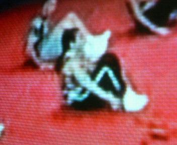 ポッチャリ姉さん