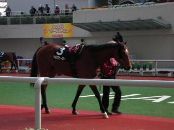 ひーろーパドック