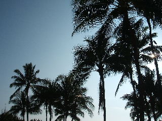 2006_0411Hawaii0184.JPG