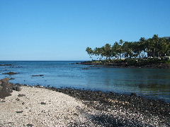 2006_0411Hawaii0404.JPG