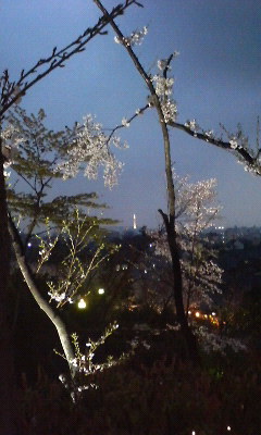 桜と京都タワー
