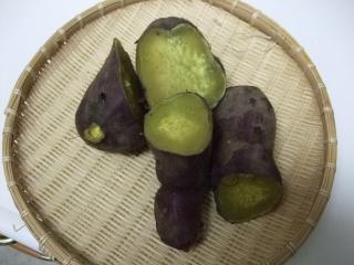 DSCF4125.JPG