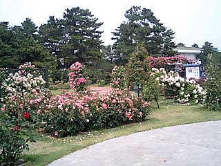 浜寺公園