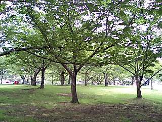 浜寺公園