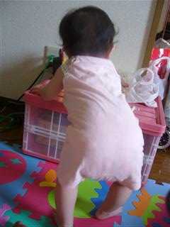 P1000940_R.jpg