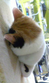 20060213001303.jpg