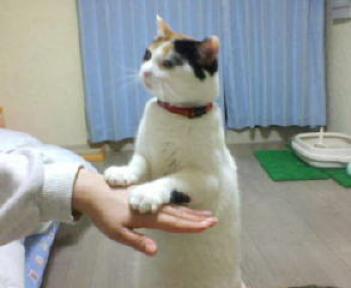 20060403002415.jpg
