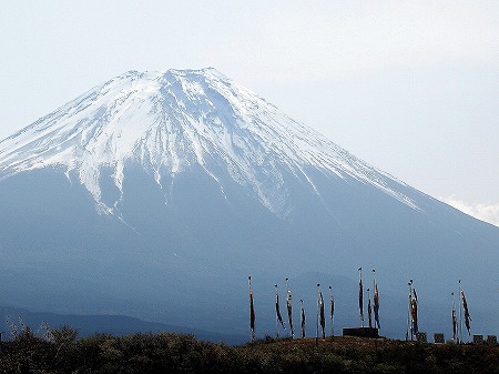 鯉のぼりと富士山(朝霧高原から)
