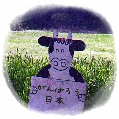 朝霧高原の牛の看板