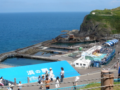 P8110944.JPG