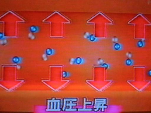 塩分と血圧上昇.JPG