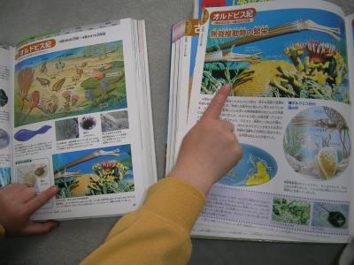 地球の図鑑と昔の動物の図鑑らしい