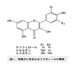 ケルセチン