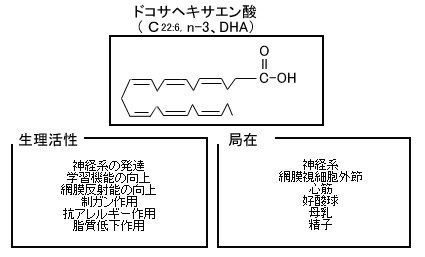 ＤＨＡ