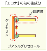 ジアシルグリセロール | オレンジコスモス - 楽天ブログ