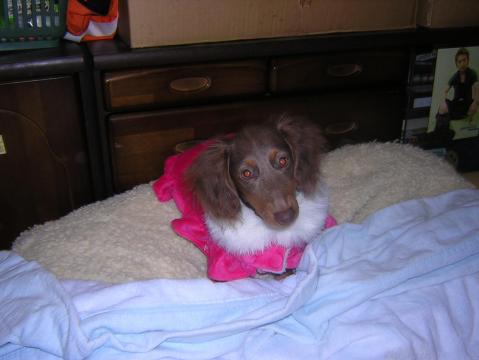 DSCN1828.JPG