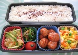 5/9のお弁当