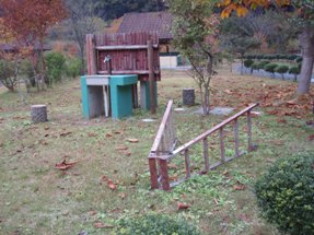 水場と置きっぱなしの脚立