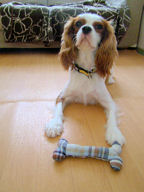 DSC00487a.jpg