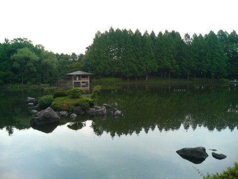 中央公園
