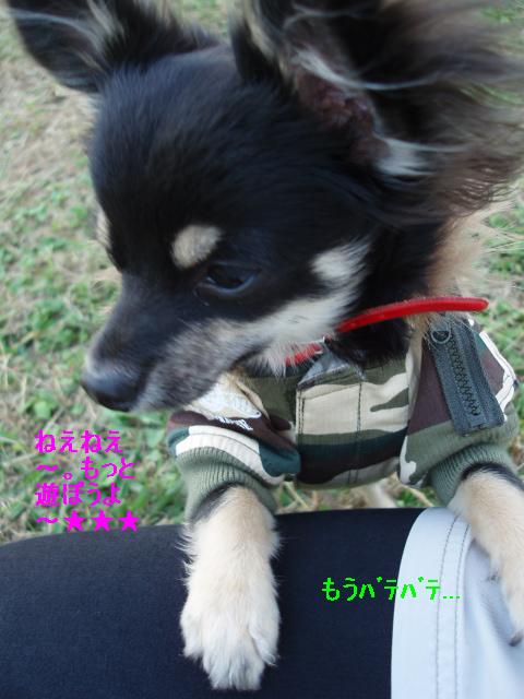 PB010051-2.JPG