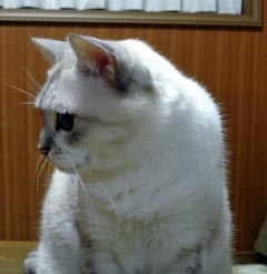 あのね-1.jpg