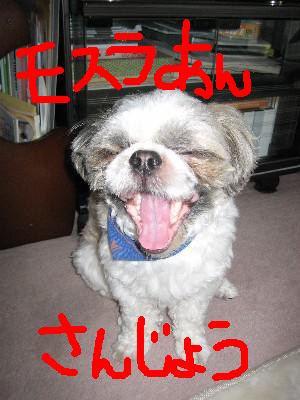 画像 177.jpg