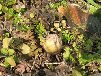 408