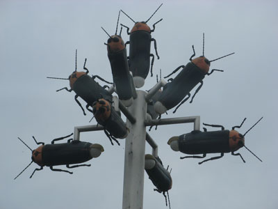 442