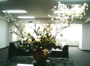 20070329花