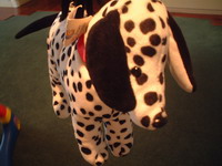 DSCF0023.jpg