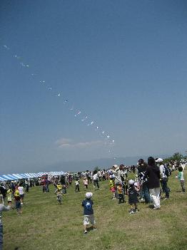 まてコラ～っ！違うかっ