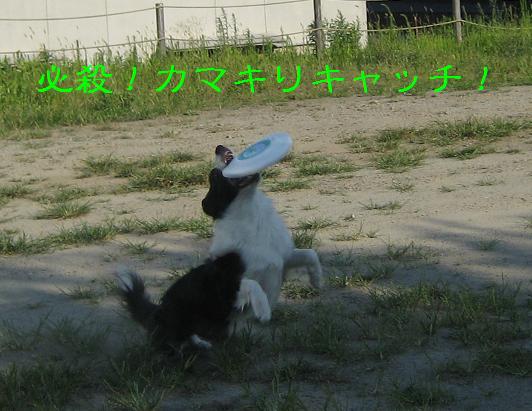 お笑いを目指しているんですか？