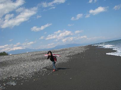 トワゴンと海と富士山と