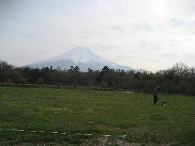 富士山とパパとチョビ