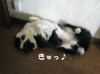 あそぼ♪