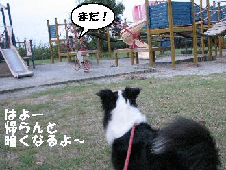 トワゴン専属監視犬