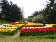 2010寺尾中央公園2