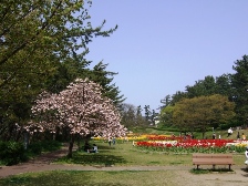 2010寺尾中央公園3