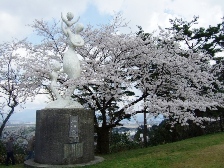 2010秋葉公園桜3