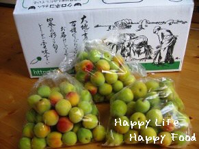 ミレーの無農薬南高梅