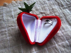 リングケースでした～2