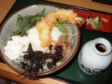 叶屋-ぶっかけ蕎麦