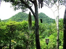 Villa森の家からの風景