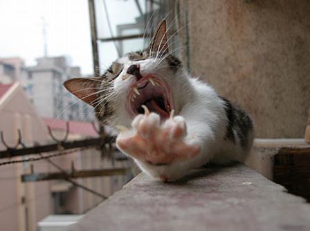 あああぁぁぁぁぁ～～～～